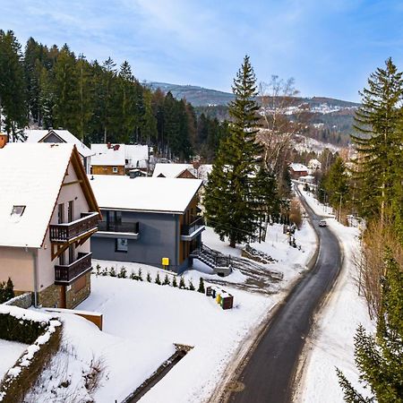 Wonder Home - Villa Vika Z Ogrodem, Z Miejscem Na Grilla I Ognisko 카르파츠 외부 사진